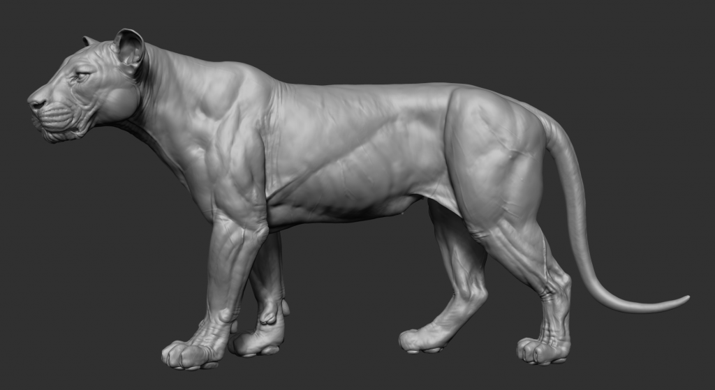 lioness_01